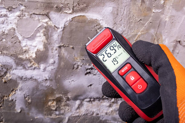 Best Residential Mold Remediation in Bayou La Batre, AL